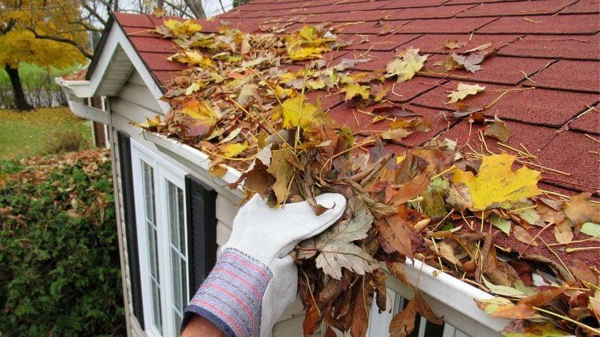 Hand removing dried leaves from gutters